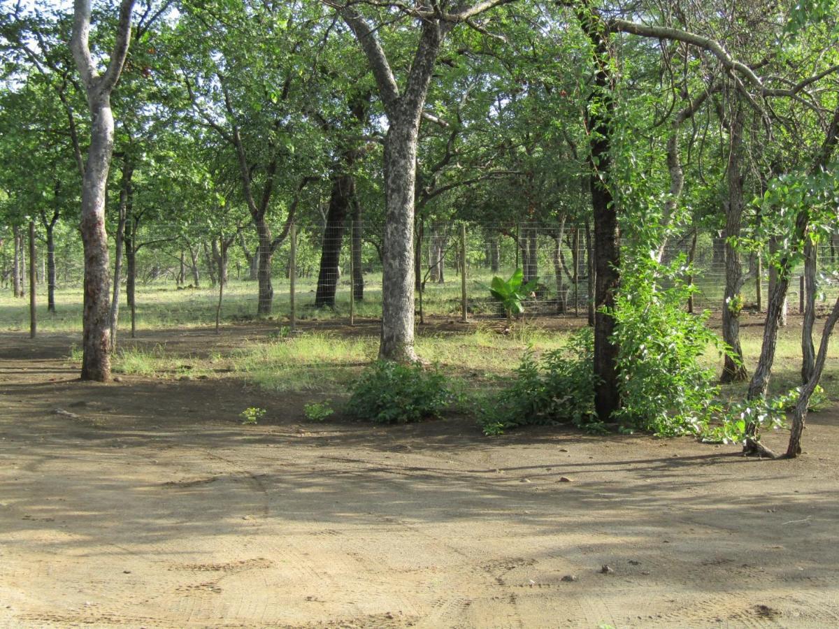 Mabalingwe Game Reserve Pafuri Gate Guesthouse מראה חיצוני תמונה